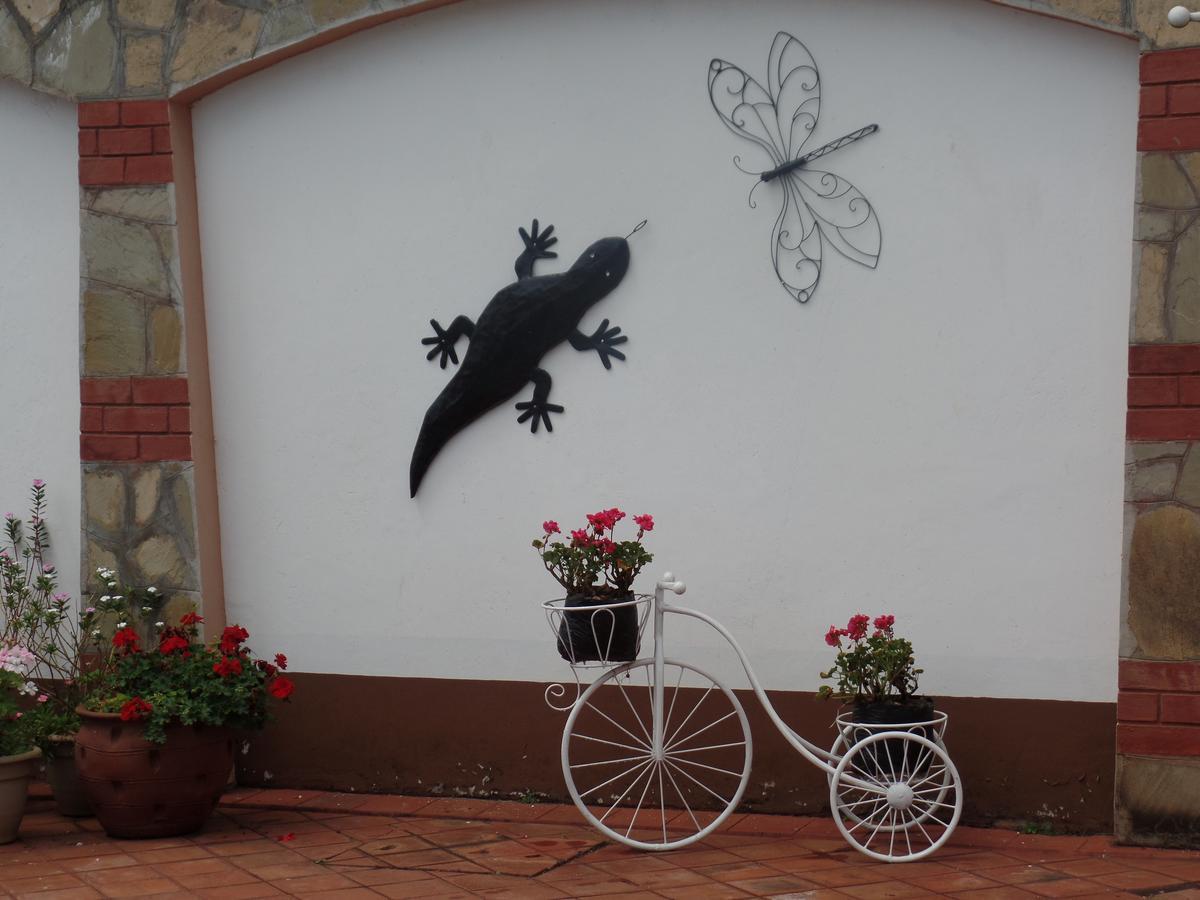 Villa Leone Boutique Hotel 나이로비 외부 사진